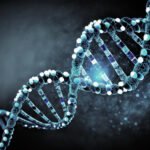 Ilustración hiperrealista de una hebra de ADN humano en 3D, simbolizando la relación entre la genética y el rendimiento deportivo.