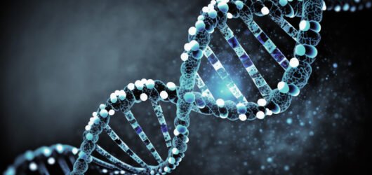 Genes y deporte: descubre cómo tu ADN impacta en tu rendimiento