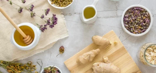 Antiinflamatorios naturales: las 5 mejores plantas medicinales para la recuperación muscular