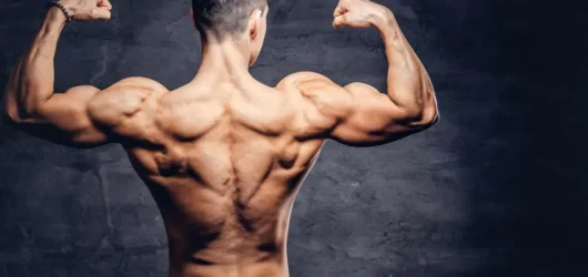 ¿Se convierte la grasa en músculo? derribando el mito más grande del fitness