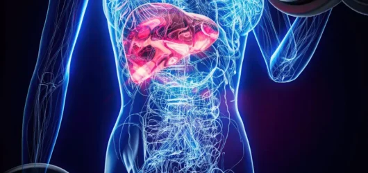 Suplementos y daño hepático: Los hechos más allá del miedo